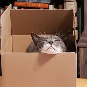 Meet your Posher, Shannon